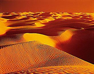 《对马岛之鬼：导演剪辑版》发售宣传片