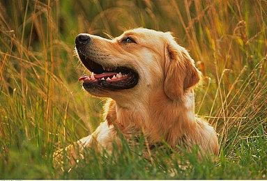 第一人称真人互动影游《我靠双修拯救世界》Steam页面上线 年内发售