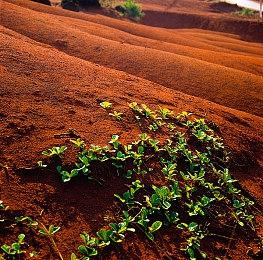 卡通类塔科夫《HAWKED》PC公测8月3日至17日进行