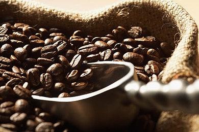 横版过关游戏《暴走仙掌人》5月13日发售 支持简体中文